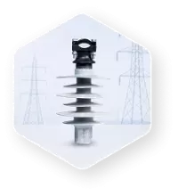 Vina Electric Corporation